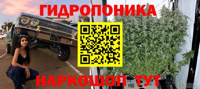 jwh Краснокаменск