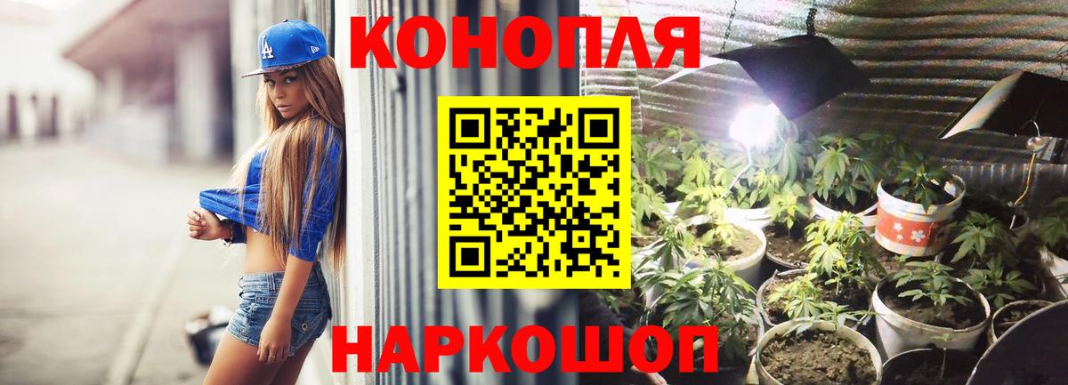 Марихуана план  Марихуана VHQ  Бошки Шишки тримм  Волоколамск  Вход с VPN  Канабис OG Kush 